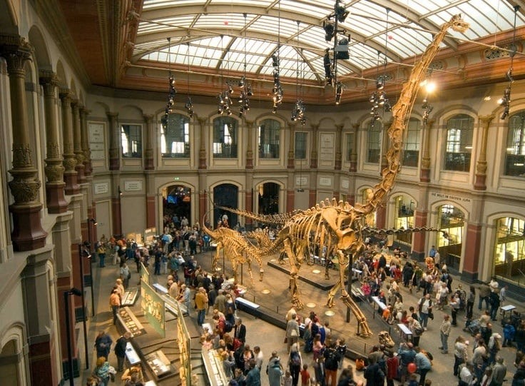 Museum füer Naturkunde em Berlim