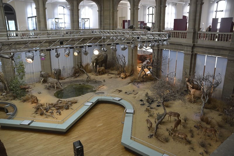 Museu Koenig em Bonn 