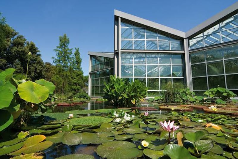 Jardim Botânico em Frankfurt