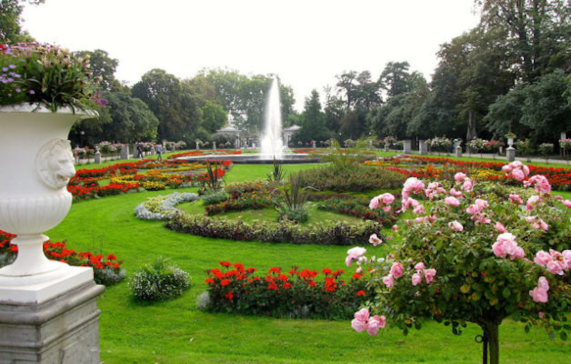 Exemplares de plantas e árvores no Jardim Botânico em Colônia